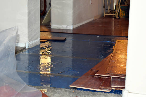 Professional Flood Cleanup technician working in Bristol, RI